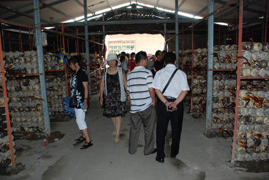 圖片關鍵詞 圖片關鍵詞