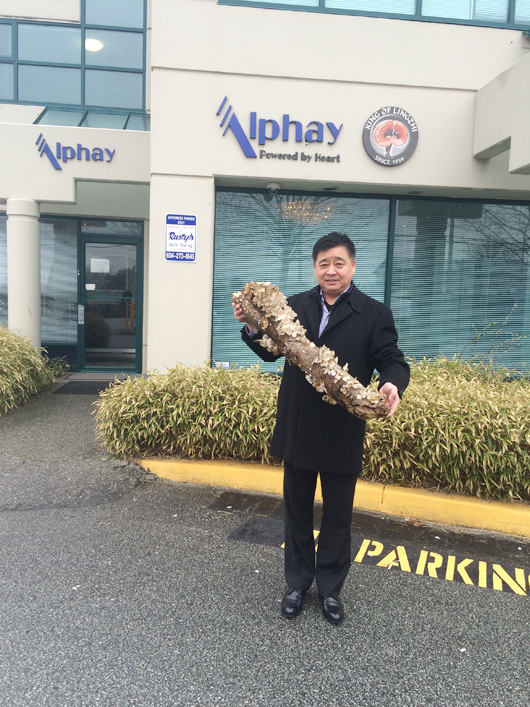 圖片關鍵詞 圖片關鍵詞