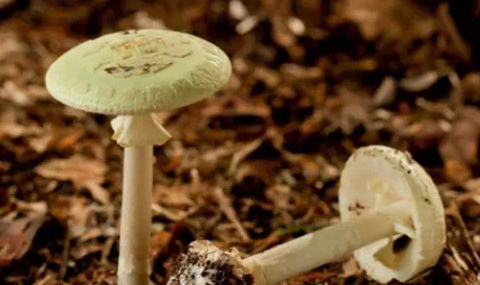 圖片關鍵詞 圖片關鍵詞