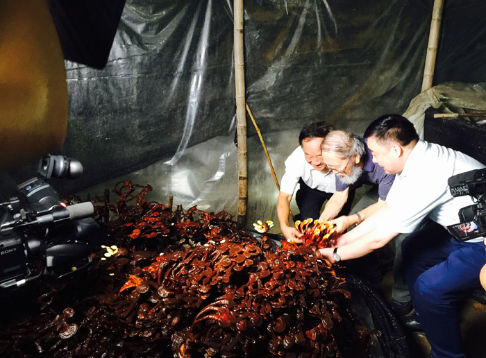 圖片關鍵詞 圖片關鍵詞