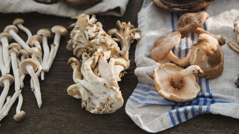 圖片關鍵詞 圖片關鍵詞