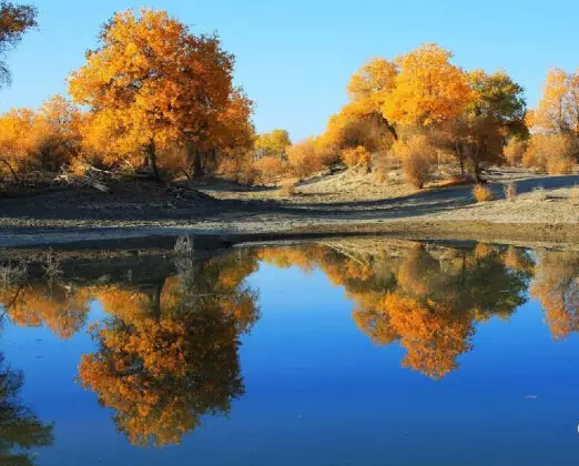 圖片關鍵詞 圖片關鍵詞