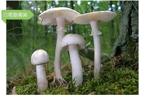 圖片關鍵詞 圖片關鍵詞