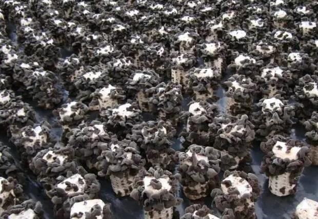 圖片關(guān)鍵詞 圖片關(guān)鍵詞