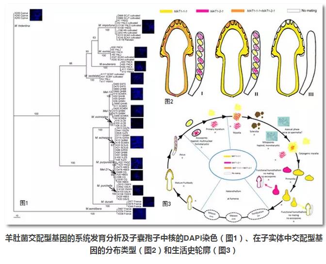 圖片關(guān)鍵詞 圖片關(guān)鍵詞