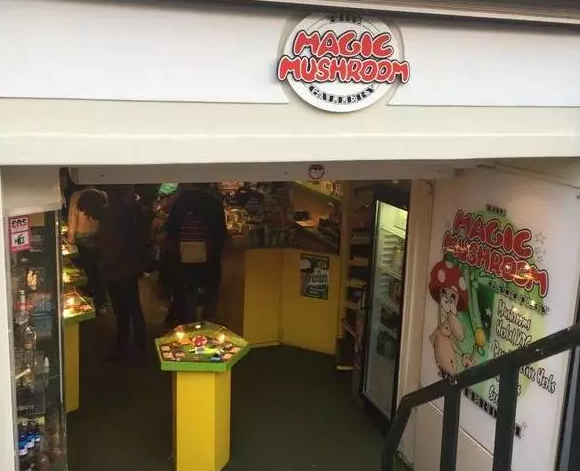 圖片關鍵詞 圖片關鍵詞