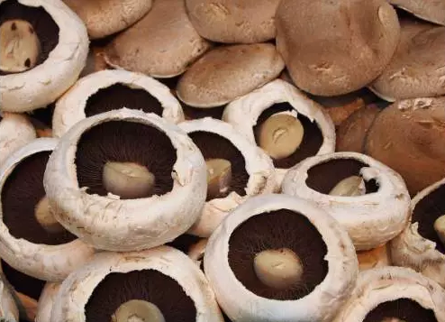 圖片關鍵詞 http://www.lkdc.com.cn/ewebeditor/uploadfile/20170914091257506001.png