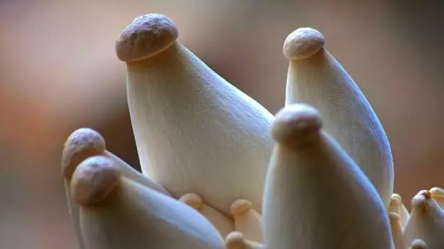 圖片關鍵詞 http://www.lkdc.com.cn/ewebeditor/uploadfile/20170914091357269001.png