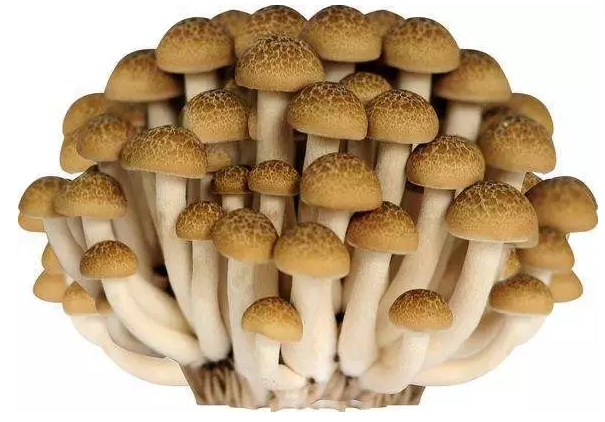 圖片關鍵詞 http://www.lkdc.com.cn/ewebeditor/uploadfile/20170914091421667001.png