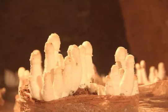 圖片關(guān)鍵詞 圖片關(guān)鍵詞