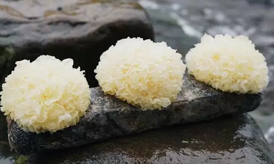 圖片關(guān)鍵詞 http://www.lkdc.com.cn/ewebeditor/uploadfile/20180328092751720001.png