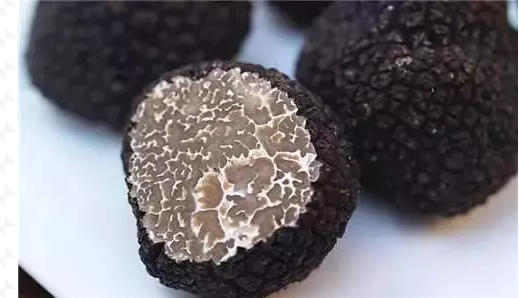 圖片關鍵詞 圖片關鍵詞