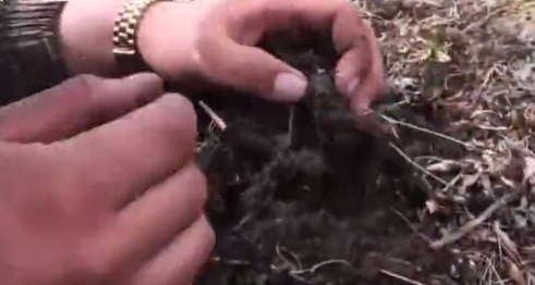 圖片關(guān)鍵詞 圖片關(guān)鍵詞