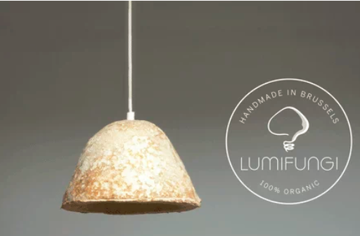 圖片關(guān)鍵詞 http://www.lkdc.com.cn/ewebeditor/uploadfile/20180727085601461001.png