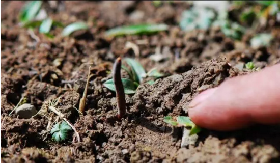 圖片關(guān)鍵詞 http://www.lkdc.com.cn/ewebeditor/uploadfile/20180814102741148001.png