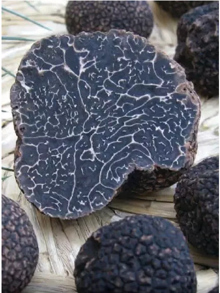 圖片關鍵詞 圖片關鍵詞