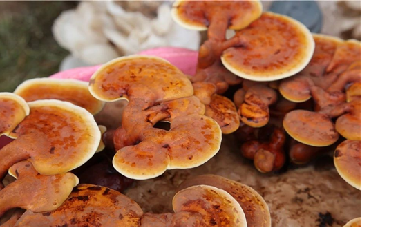 圖片關(guān)鍵詞 圖片關(guān)鍵詞