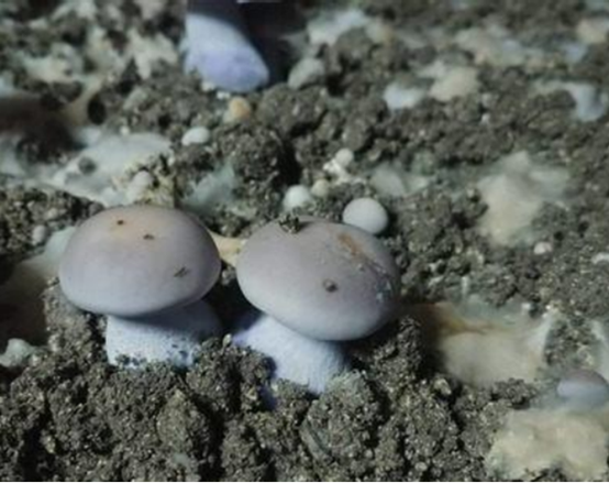 圖片關(guān)鍵詞 圖片關(guān)鍵詞