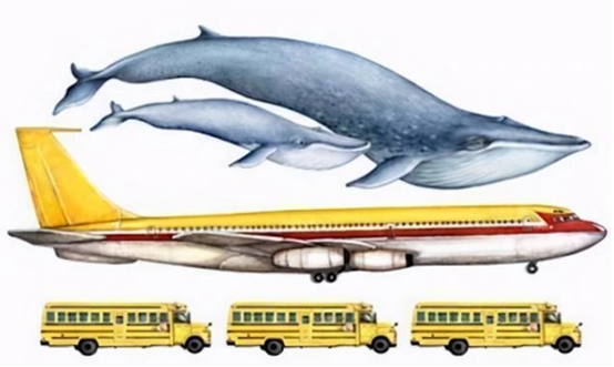 圖片關(guān)鍵詞 圖片關(guān)鍵詞