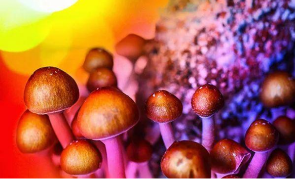 圖片關鍵詞 圖片關鍵詞