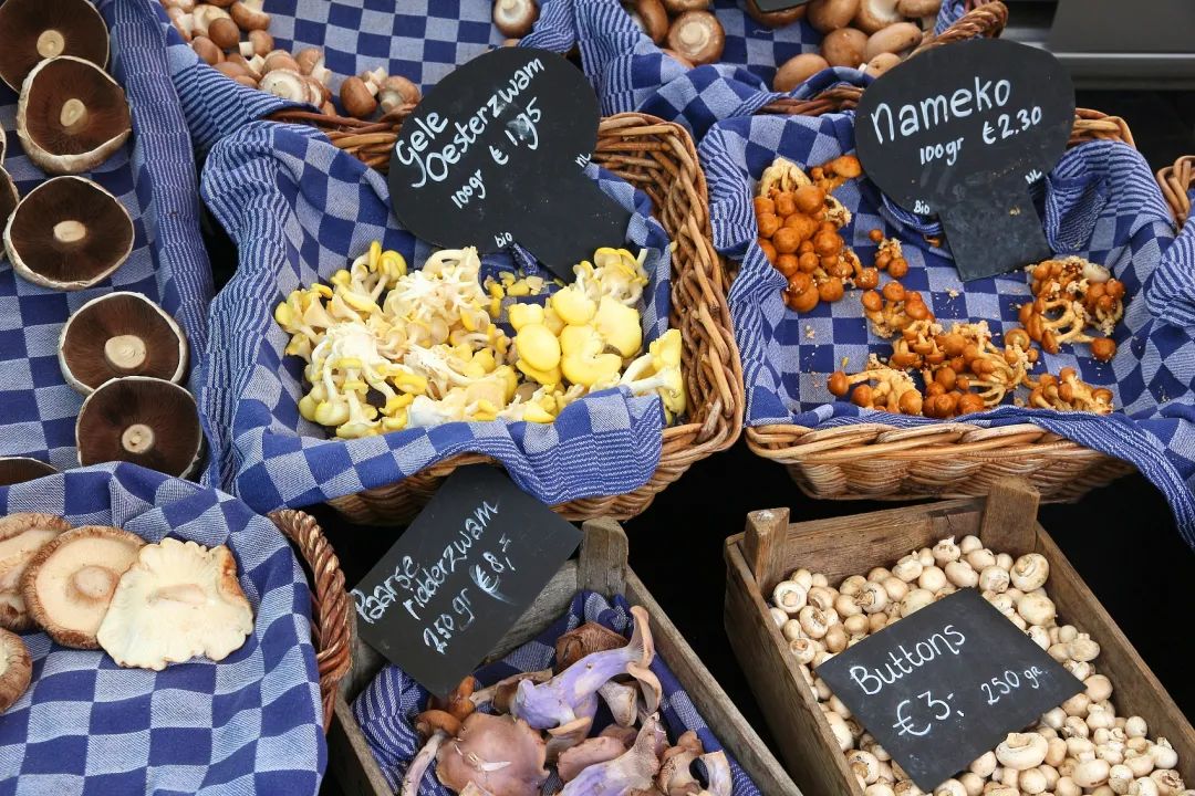 圖片關鍵詞 圖片