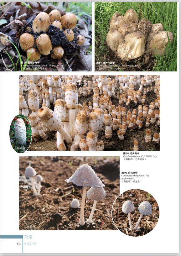 圖片關鍵詞 圖片