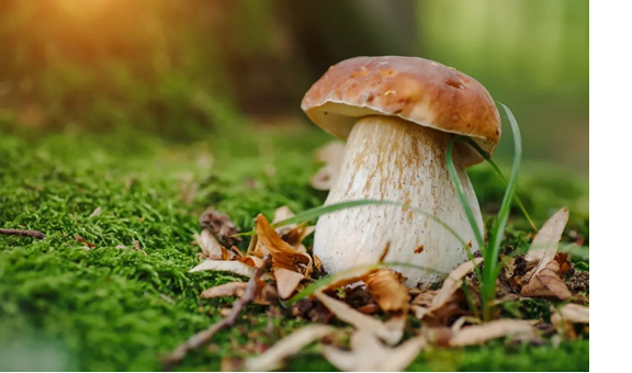 圖片關鍵詞 圖片關鍵詞