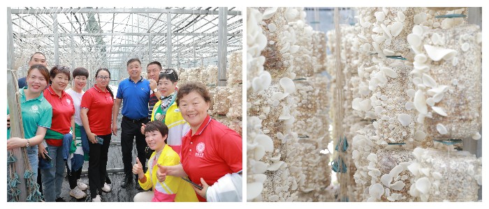 圖片關(guān)鍵詞 圖片關(guān)鍵詞