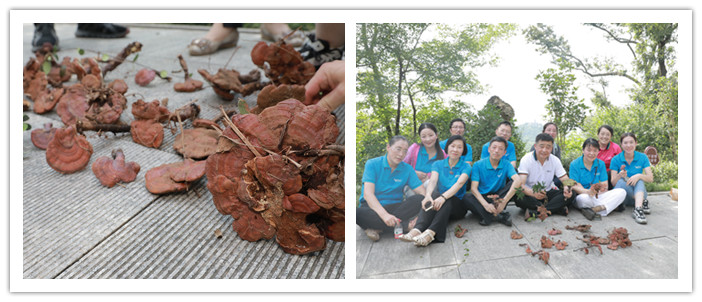 圖片關(guān)鍵詞 圖片關(guān)鍵詞