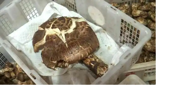 圖片關鍵詞 圖片關鍵詞