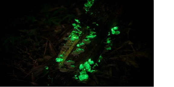 圖片關(guān)鍵詞 圖片關(guān)鍵詞