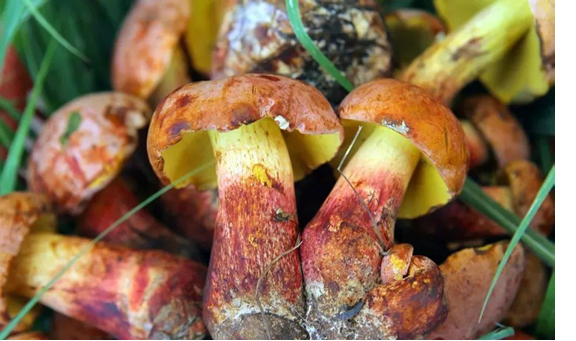 圖片關鍵詞 圖片關鍵詞