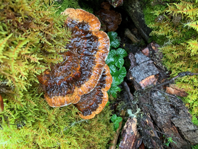 圖片關鍵詞 https://mmbiz.qpic.cn/mmbiz_png/OnRbAd1HL47bKfbWZcj9ibpGib1q1jfmZAd30giaDaXA7GlxxgOkvfs31qkP3LsCLk2x0nMYOU78I1qT0VvNIkNNQ/640?wx_fmt=png