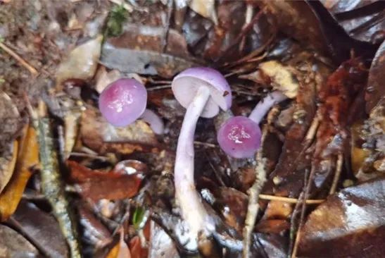 圖片關鍵詞 圖片