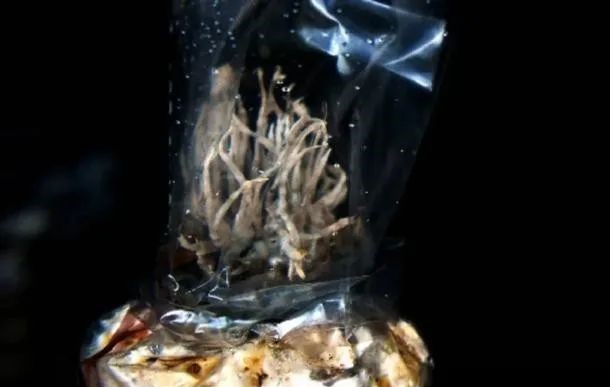 圖片關鍵詞 圖片關鍵詞