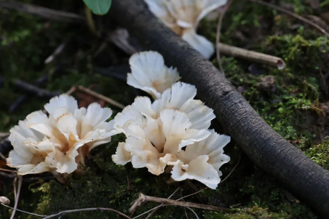圖片關鍵詞 圖片關鍵詞