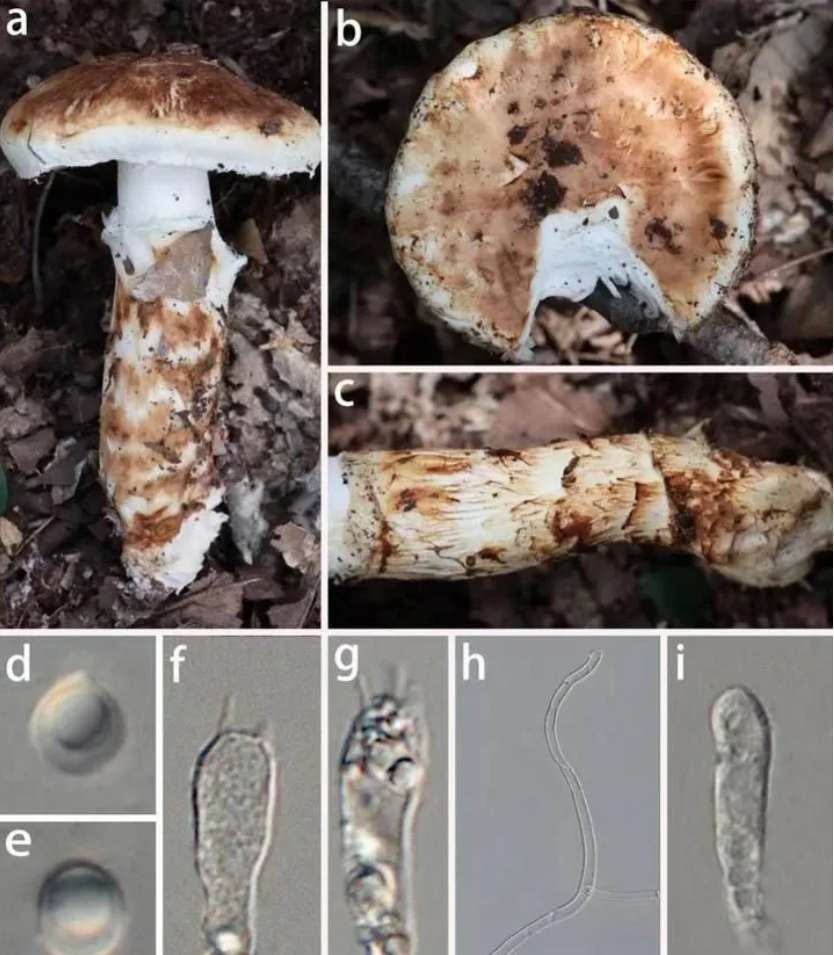 圖片關鍵詞 圖片關鍵詞