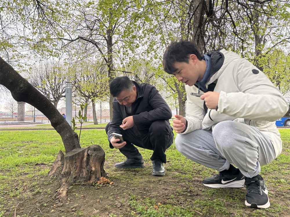 圖片關(guān)鍵詞