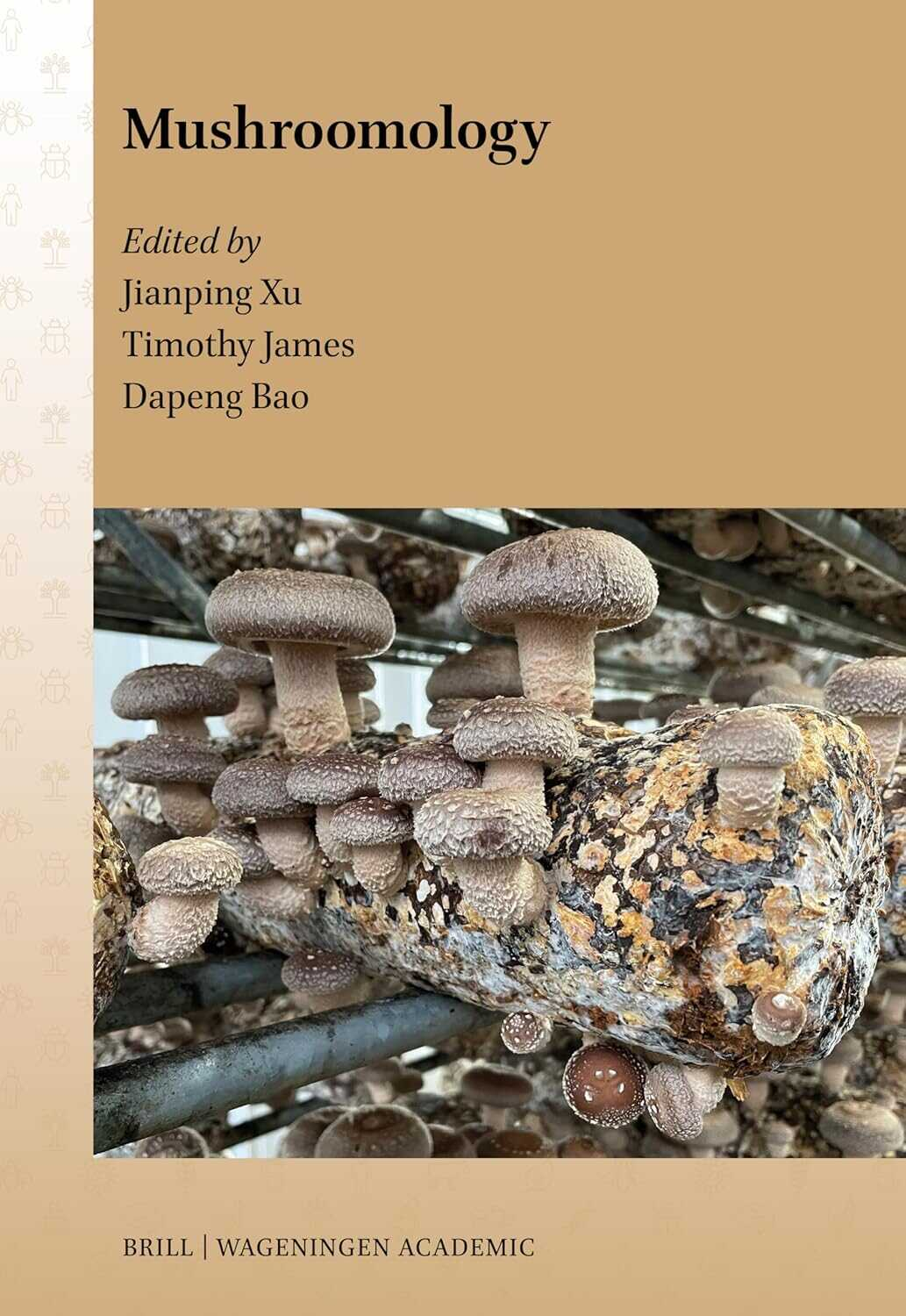 圖片關鍵詞 圖片關鍵詞