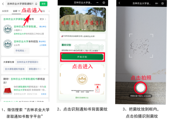 圖片關(guān)鍵詞